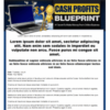 Cash Profits Blueprint Template