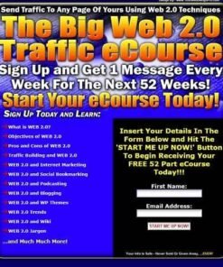 The Big Web 2.0 Traffic eCourse
