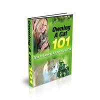 Owning A Cat 101