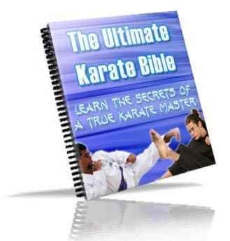 The Ultimate Karate Bible