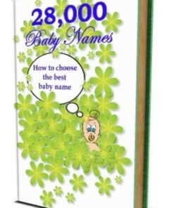 Alternative view of 28,000 Baby Names