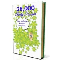 28,000 Baby Names