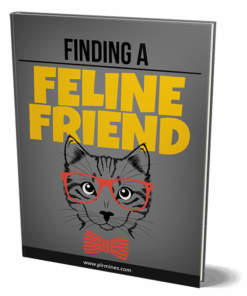 Alternative view of Finding a Feline Friend