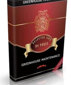 Alternative view of Greenhouse Maintenance