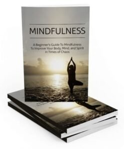 Alternative view of Mindfulness