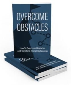 Alternative view of Overcome Obstacles
