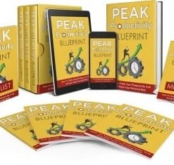 Alternative view of Peak Productivity Video