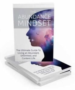 The Abundance Mindset