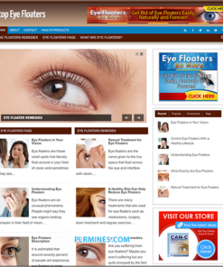 Eye Floaters WP Blog