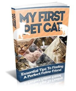 My First Pet Cat